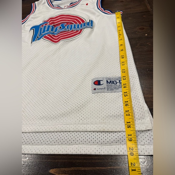 Champion Tune Squad Space Jam TAZ Basketball Jersey - Picture 8 of 9